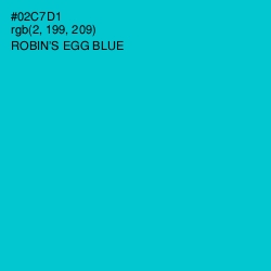 #02C7D1 - Robin's Egg Blue Color Image